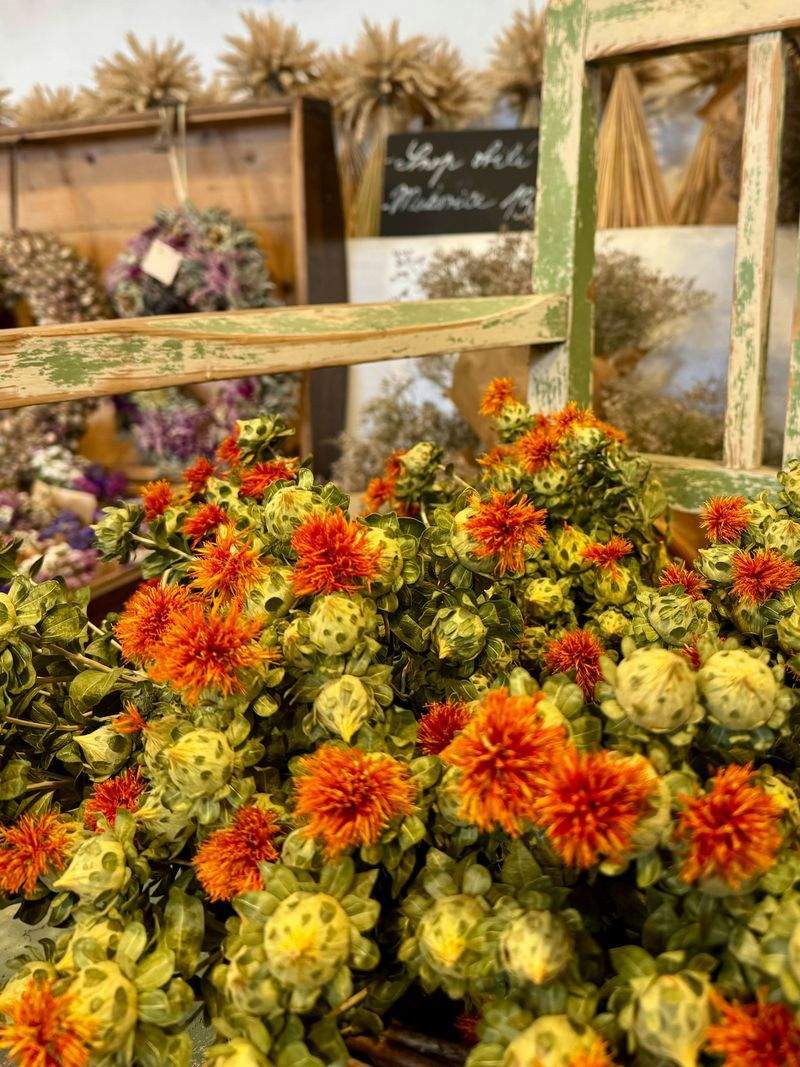 NaturHandwerk Österreich